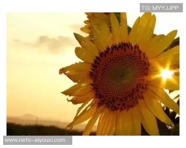 常林的奋斗与成长：从青涩少年到职场精英的励志故事